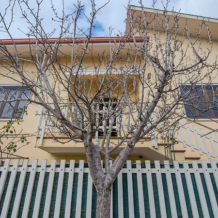 Corsica Samatzai